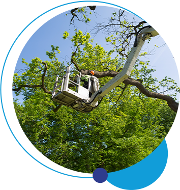 Premises and infrastructure - Environment & Tree Services from Strictly Education
